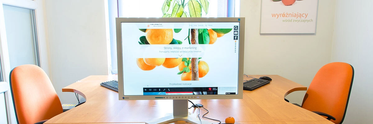 Strona www website preview